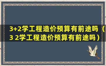 3+2学工程造价预算有前途吗（3 2学工程造价预算有前途吗）